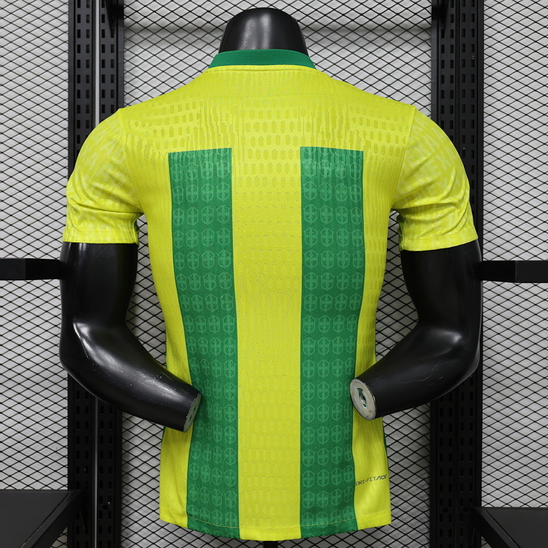 Maillot Brésil Concept 2026